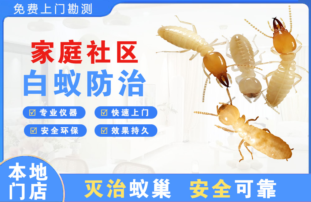 潮州家庭社区白蚁防治