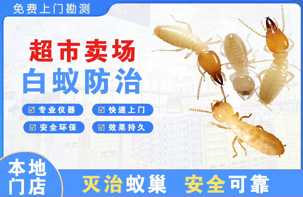 潮州超市卖场白蚁防治