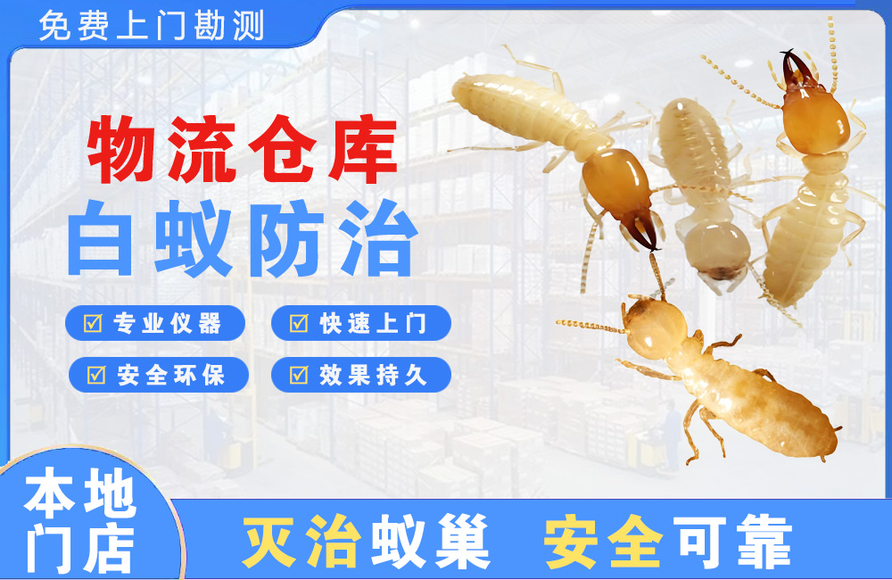 潮州物流仓库白蚁防治