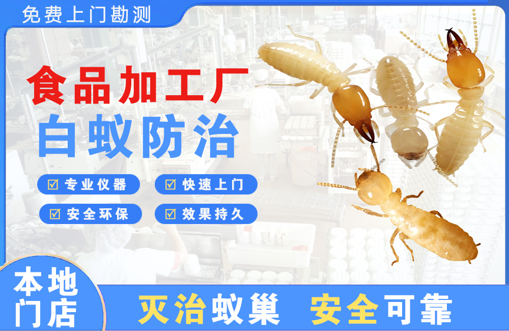 潮州食品加工厂白蚁防治