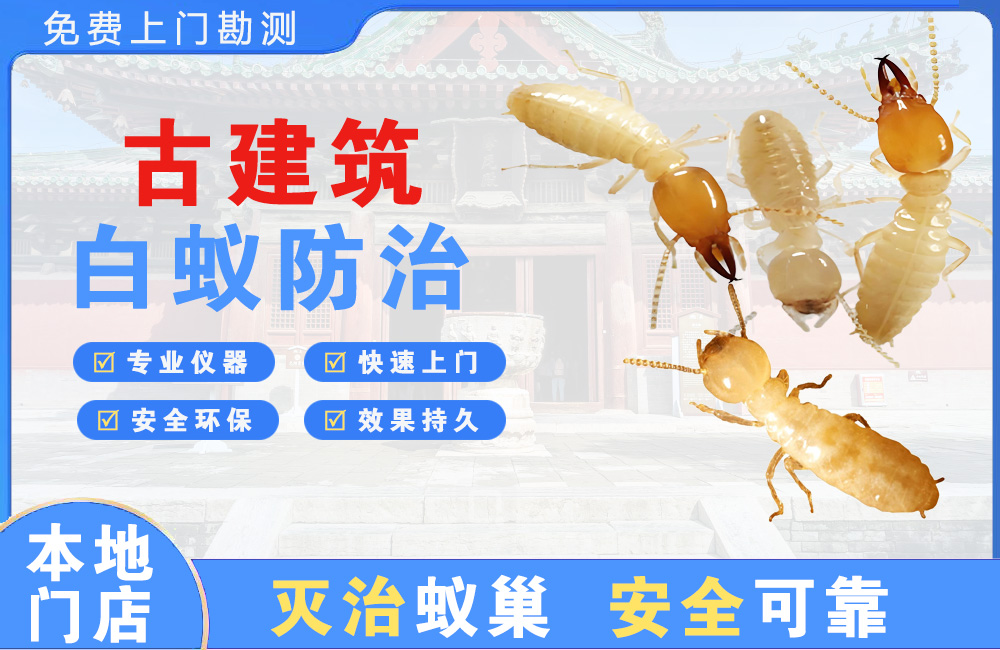 潮州古建筑白蚁防治