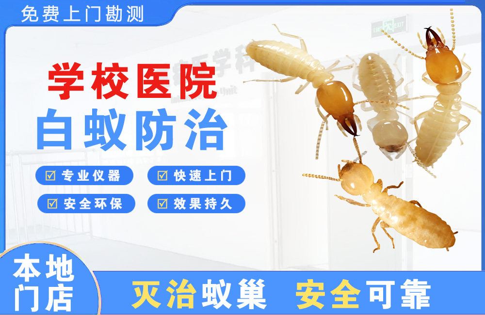 潮州学校医院白蚁防治