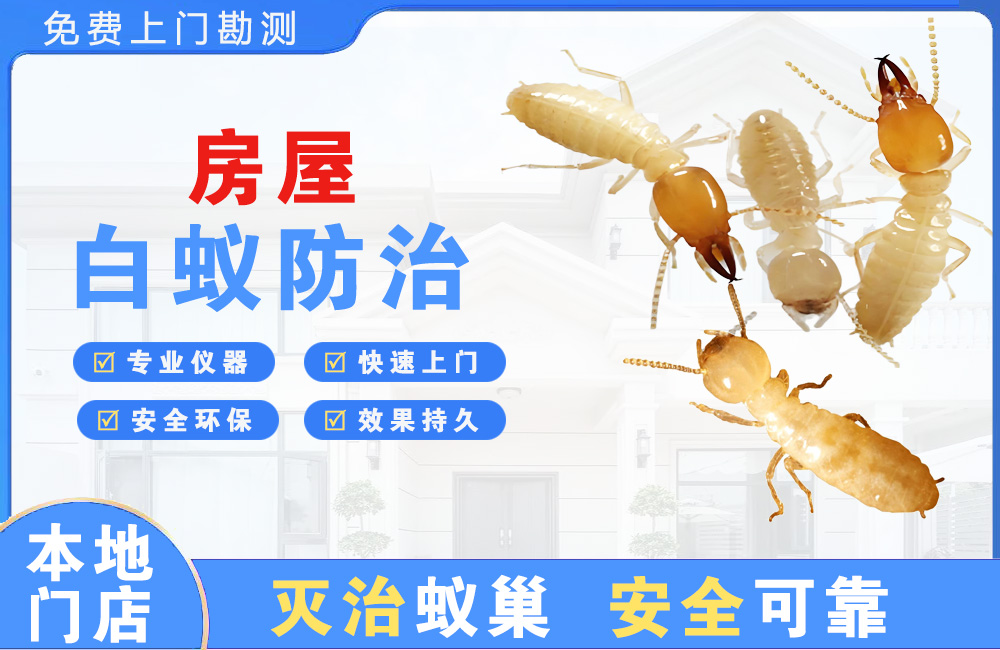 潮州房屋白蚁防治