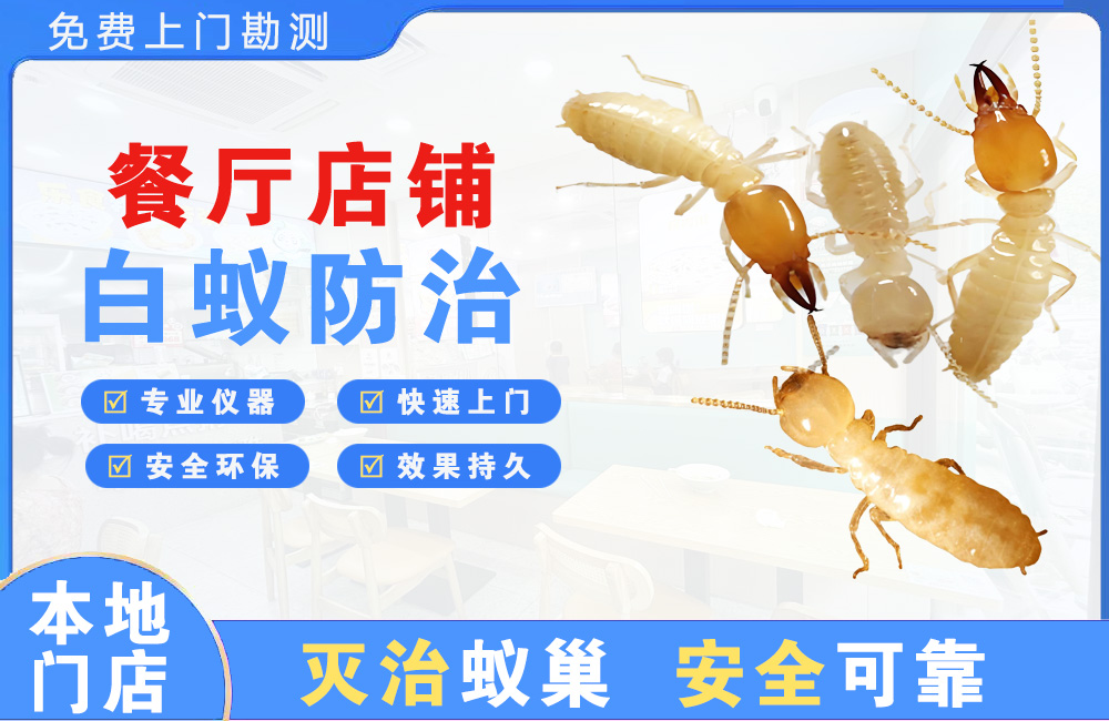 潮州餐厅店铺白蚁防治